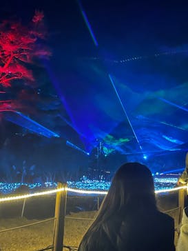 KYOTO ILLUMINATION SYNESTHESIA HILLS るり渓温泉に投稿された画像（2023/1/2）