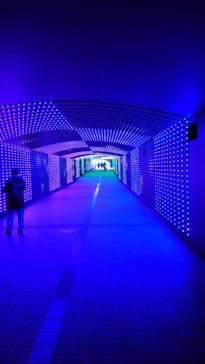 東京メガイルミに投稿された画像（2023/1/2）