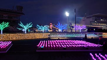 東京メガイルミに投稿された画像（2023/1/2）