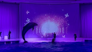 アクアワールド茨城県大洗水族館に投稿された画像（2023/1/2）
