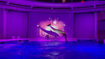 アクアワールド茨城県大洗水族館に投稿された画像（2023/1/2）
