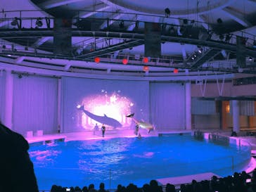 アクアワールド茨城県大洗水族館に投稿された画像（2023/1/2）