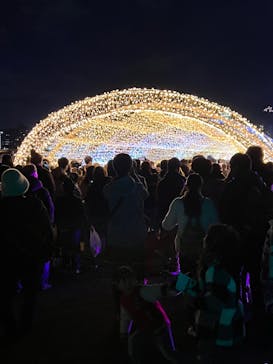 東京メガイルミに投稿された画像（2023/1/2）