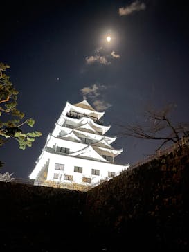 福山城400年博-FUKUYAMA CASTLE EXPO 2022- RCC開局70年 「チームラボ 福山城 光の祭」に投稿された画像（2023/1/2）