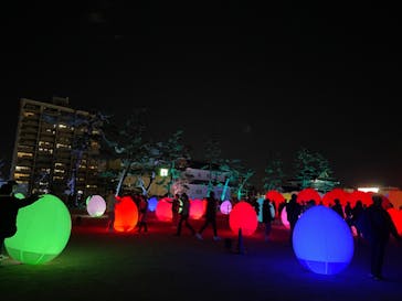 福山城400年博-FUKUYAMA CASTLE EXPO 2022- RCC開局70年 「チームラボ 福山城 光の祭」に投稿された画像（2023/1/2）