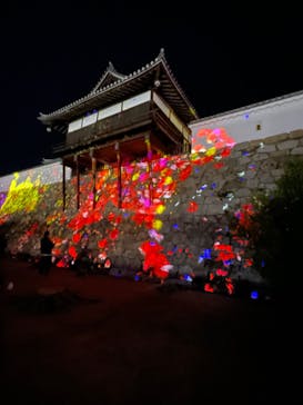 福山城400年博-FUKUYAMA CASTLE EXPO 2022- RCC開局70年 「チームラボ 福山城 光の祭」に投稿された画像（2023/1/2）