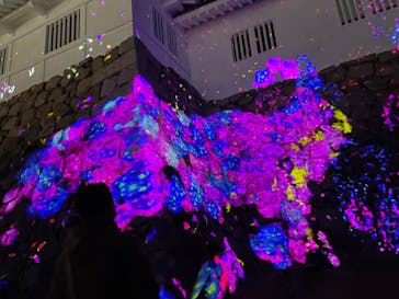福山城400年博-FUKUYAMA CASTLE EXPO 2022- RCC開局70年 「チームラボ 福山城 光の祭」に投稿された画像（2023/1/2）