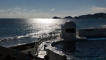 鴨川シーワールドに投稿された画像（2023/1/2）