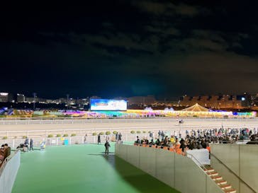 東京メガイルミに投稿された画像（2023/1/2）