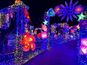 伊豆ぐらんぱる公園に投稿された画像（2023/1/2）