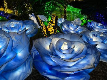 伊豆ぐらんぱる公園に投稿された画像（2023/1/2）