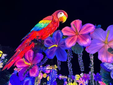 伊豆ぐらんぱる公園に投稿された画像（2023/1/2）