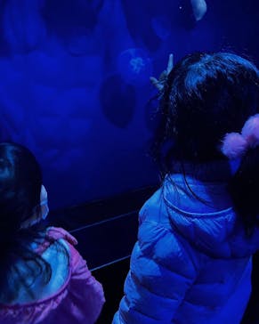 サンシャイン水族館に投稿された画像（2023/1/2）