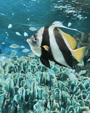 サンシャイン水族館に投稿された画像（2023/1/2）