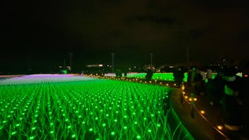 東京メガイルミに投稿された画像（2023/1/2）