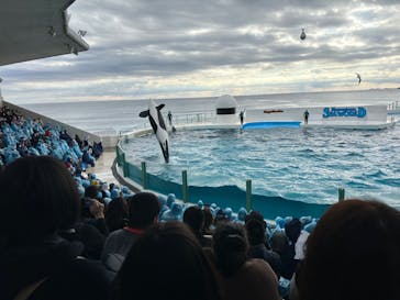 鴨川シーワールドに投稿された画像（2023/1/2）