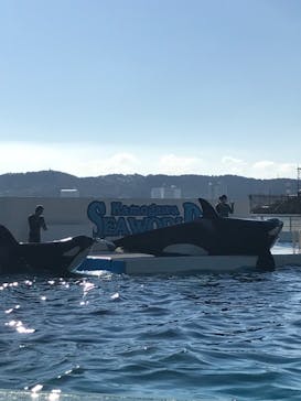 鴨川シーワールドに投稿された画像（2023/1/2）