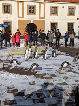 登別マリンパークニクスに投稿された画像（2023/1/2）