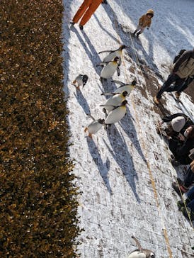 登別マリンパークニクスに投稿された画像（2023/1/2）