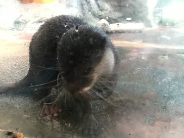 伊豆シャボテン動物公園に投稿された画像（2023/1/2）