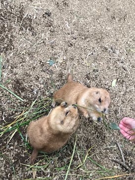 伊豆シャボテン動物公園に投稿された画像（2023/1/2）