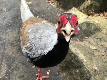 伊豆シャボテン動物公園に投稿された画像（2023/1/2）