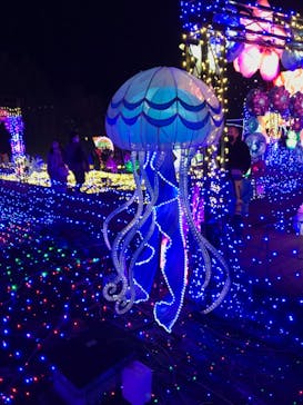 伊豆ぐらんぱる公園に投稿された画像（2023/1/2）