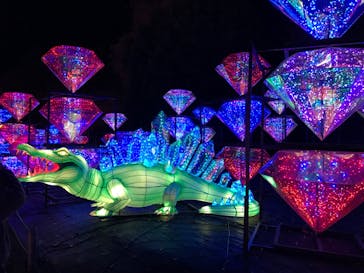 伊豆ぐらんぱる公園に投稿された画像（2023/1/2）