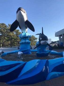 鴨川シーワールドに投稿された画像（2023/1/2）