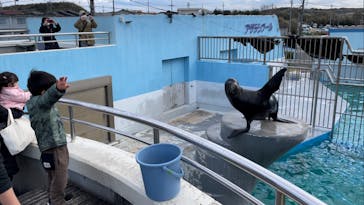 南知多ビーチランド＆南知多おもちゃ王国に投稿された画像（2023/1/2）