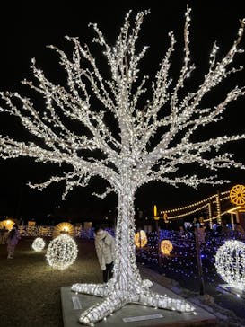 東京メガイルミに投稿された画像（2023/1/2）