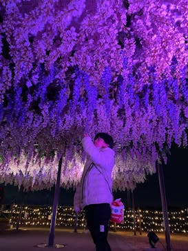 東京メガイルミに投稿された画像（2023/1/2）