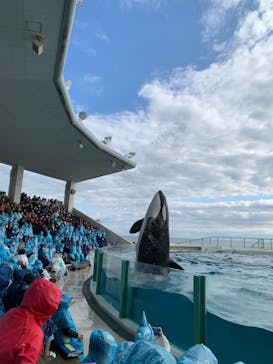 鴨川シーワールドに投稿された画像（2023/1/2）