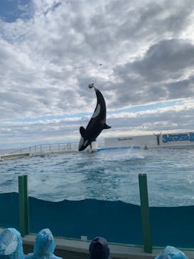 鴨川シーワールドに投稿された画像（2023/1/2）