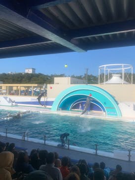 鴨川シーワールドに投稿された画像（2023/1/2）