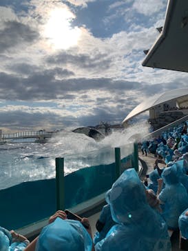 鴨川シーワールドに投稿された画像（2023/1/2）