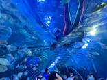 しながわ水族館に投稿された画像（2023/1/2）