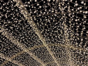 東京メガイルミに投稿された画像（2023/1/2）