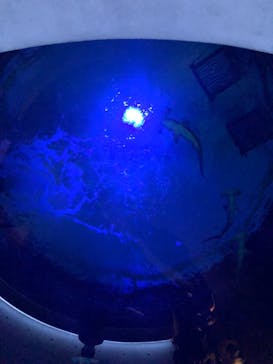 四国水族館に投稿された画像（2023/1/2）