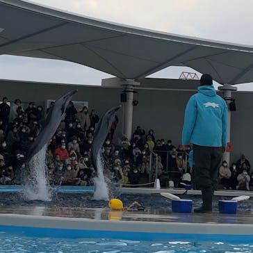 四国水族館に投稿された画像（2023/1/2）