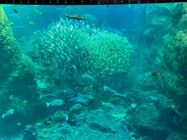 新江ノ島水族館に投稿された画像（2023/1/2）