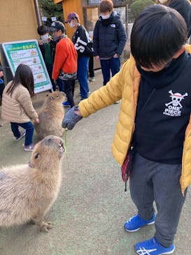 伊豆シャボテン動物公園に投稿された画像（2023/1/2）