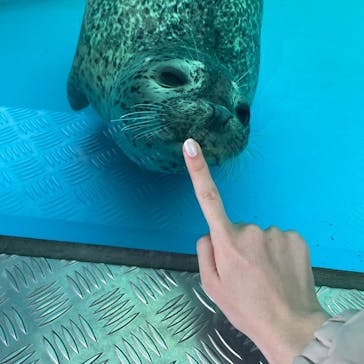 四国水族館に投稿された画像（2023/1/2）