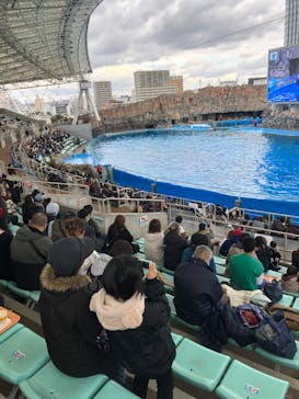 名古屋港水族館に投稿された画像（2023/1/2）