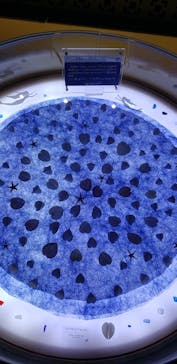 古宇利オーシャンタワーに投稿された画像（2023/1/2）