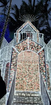 美らヤシパークオキナワ・東南植物楽園に投稿された画像（2023/1/2）