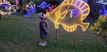 美らヤシパークオキナワ・東南植物楽園に投稿された画像（2023/1/2）