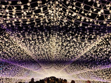 東京メガイルミに投稿された画像（2023/1/2）