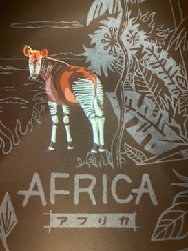 カワスイ 川崎⽔族館に投稿された画像（2023/1/2）