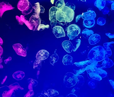 名古屋港水族館に投稿された画像（2023/1/2）